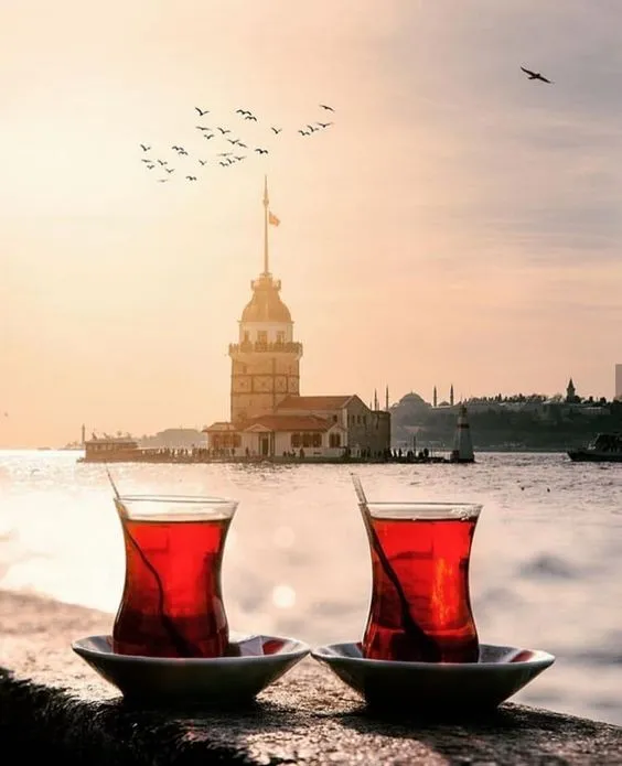 День 1